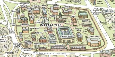Mapa na Harvardu